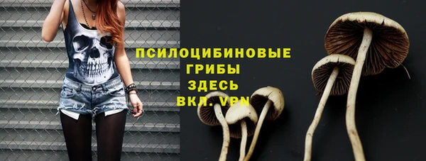 бошки Абинск