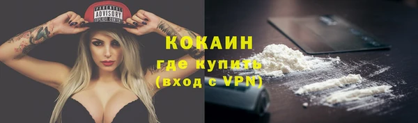 дмт Абаза