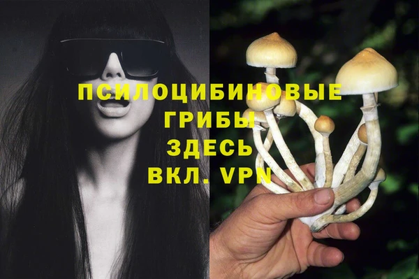 бошки Абинск