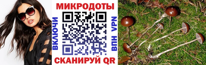 МЕГА   Усолье  Галлюциногенные грибы мицелий 